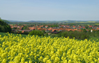 Erfahren Sie interessantes über Pöhlde Erfahren Sie interessantes über Pöhlde